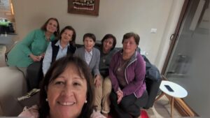 Consejo y asesora Puerto Montt